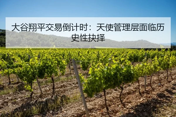 大谷翔平交易倒计时：天使管理层面临历史性抉择