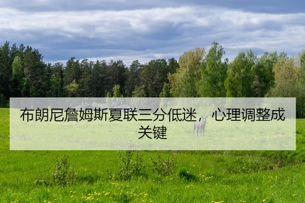 bu-lang-ni-zhan-mu-si-xia-lian-san-fen-di-mi-xin-li-tiao-zheng-cheng-guan-jian-2-645.jpg