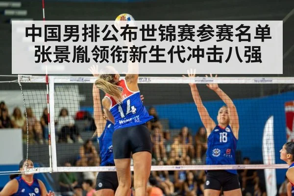 volleyball match action