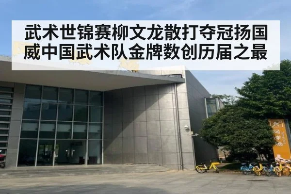 武术世锦赛柳文龙散打夺冠扬国威中国武术队金牌数创历届之最